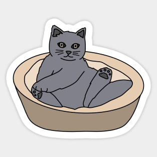 Gray Cat Sticker